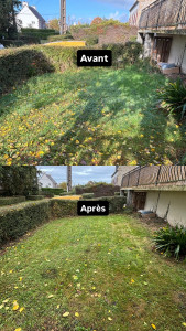 Photo de galerie - Tonte, débroussaillage, taille de haies..