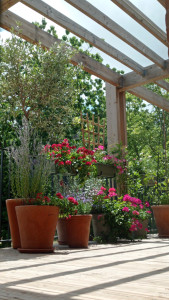 Photo de galerie - Jardinier