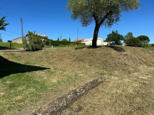 Photo de galerie - Entretien espaces verts