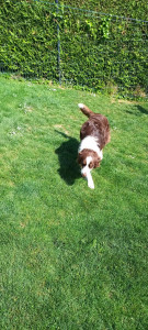 Photo de galerie - Mes habitués 