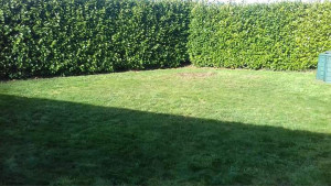 Photo de galerie - Tonte 