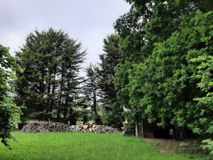 Photo de galerie - Avant les travaux