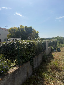 Photo de galerie - Taille et élagage de haie 25 mètre 