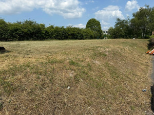 Photo de galerie - Débroussaillage site industriel (herbes au-dessus de la taille) avec la débroussailleuse à fléaux + débroussailleuse classique 