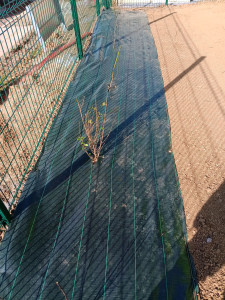 Photo de galerie - Pose de bâche 