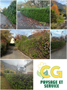 Photo de galerie - Taille de haie