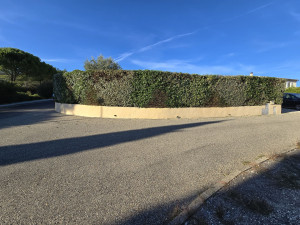 Photo de galerie - Taille d'une haie 