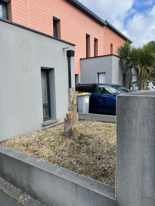 Photo de galerie - Desherbage