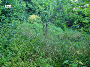 Photo de galerie - Avant réouverture d'un jardin