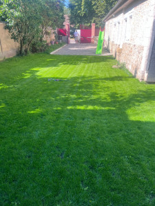 Photo de galerie - Gazon rénové après intervention 