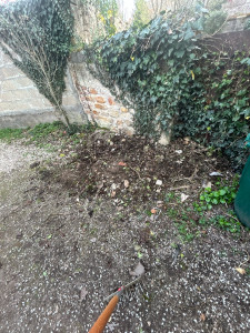 Photo de galerie - Nettoyage de déchets