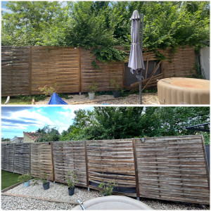 Photo de galerie - Taille de haie 