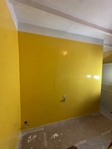 Photo de galerie - Reprise d’enduit partiel sans ratissage et mise en peinture 