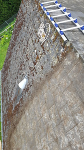 Photo de galerie - Couverture - Toiture