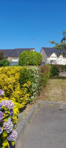 Photo de galerie - Taille de haies et d'arbustes