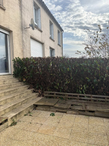 Photo de galerie -  rabaissements d'une haie voir la photo d'avant
