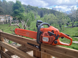 Photo de galerie - Elagage et coupe d'arbres