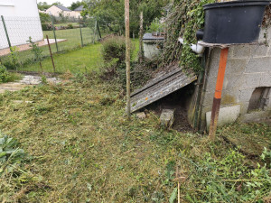 Photo de galerie - Nettoyage de jardin 