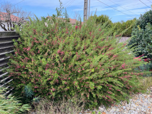 Photo de galerie - Avant