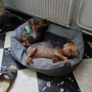 Photo de galerie - Tchico louna