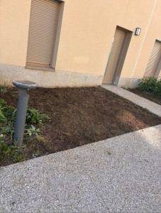Photo de galerie - Paysagiste - Aménagement du jardin