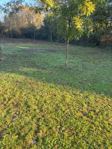 Photo de galerie - Débroussaillage 