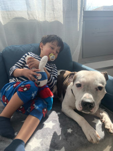 Photo de galerie - Garde de tokkie ?