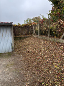 Photo de galerie - Elagage et coupe d'arbres