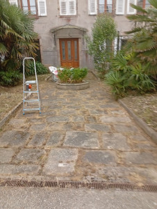 Photo de galerie - Tonte de pelouse - Débroussaillage