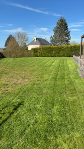 Photo de galerie - Tonte 