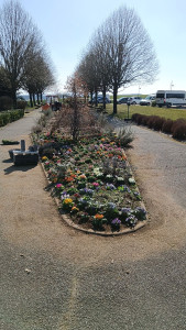 Photo de galerie - Plantation 