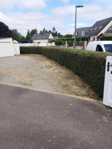 Photo de galerie - Taille de haies et d'arbustes