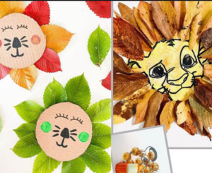 Photo de galerie - Activités 