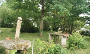 Photo de galerie - Tonte de pelouse - Débroussaillage