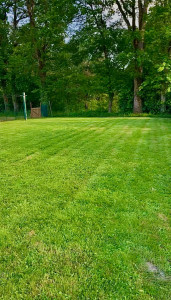 Photo de galerie - Tonte de pelouse 