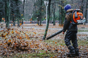 Photo de galerie - Nettoyage de terrain en automne