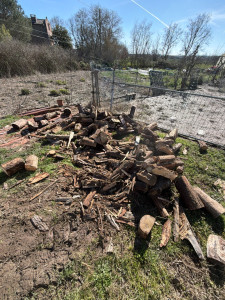 Photo de galerie - Bois de chauffage en 50cm 