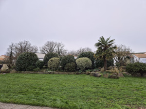 Photo de galerie - Entretien des haies