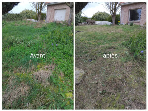 Photo de galerie - Tonte 