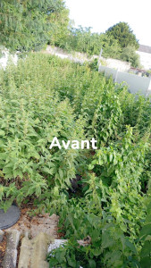 Photo de galerie - Le avant