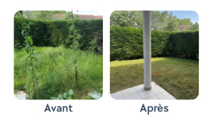 Photo de galerie - Tonte de pelouse 
