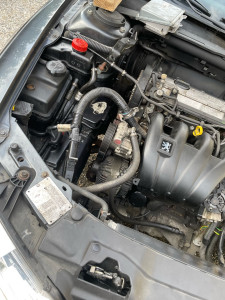 Photo de galerie - Distribution 