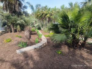 Photo de galerie - Entretien et désherbage 