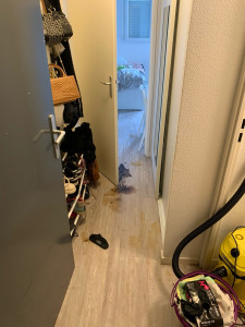 Photo de galerie - Avant 