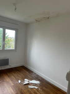 Photo de galerie - Peinture - Tapisserie