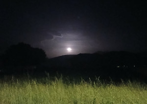 Photo de galerie - Garde de nuit ponctuelle