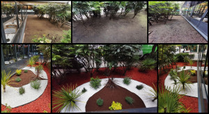 Photo de galerie - Création d'un massif avec plantations, bordures pvc et paillage graviers blancs, copeaux de bois rouges et pouzzolane