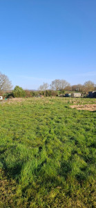 Photo de galerie - Debroussaillage avant