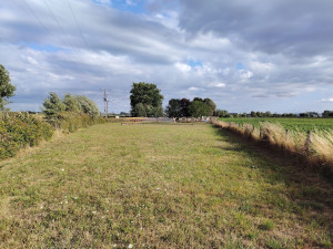 Photo de galerie - Tonte de pelouse - Débroussaillage