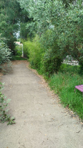 Photo de galerie - Paysagiste - Aménagement du jardin